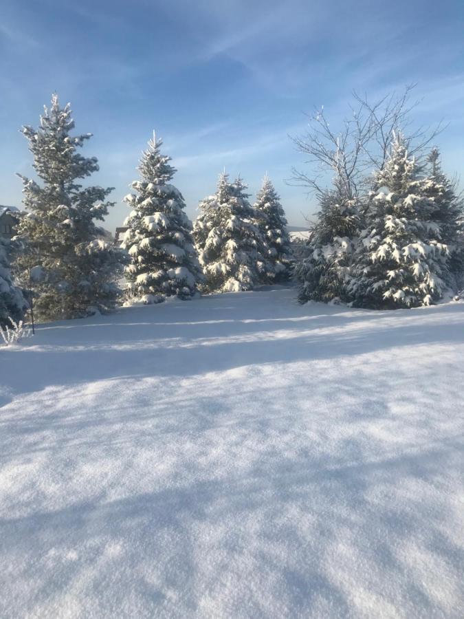 Na Wylacznosc Z Duzym Ogrodem Jablonka (Lesser Poland)
